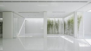Bamboo Forest, V Studio