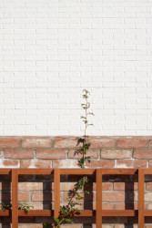 Komunitní centrum Židlochovice, JURA‌ ‌ET‌ ‌CONSORTES / Pavel Jura, Pavel Steuer