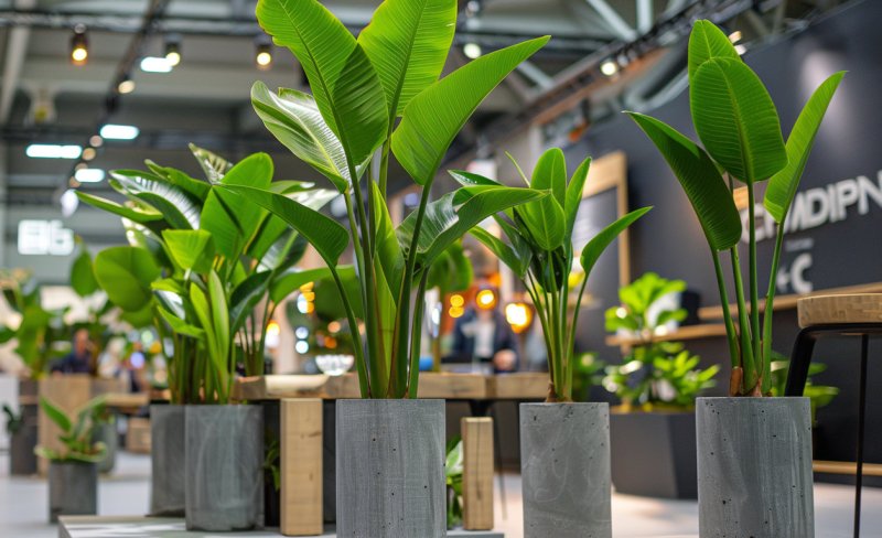 Jednorázové pronájmy rostlin a zelených stěn na eventy od Jungle Interiors