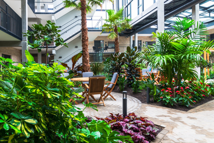 Zelená atria od Jungle Interiors