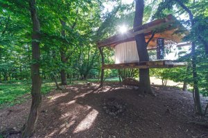 Tree House, Jan Tyrpekl