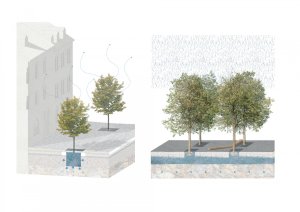 Vítězný návrh studia m2au na rekonstrukci Škroupova náměstí v České Lípě