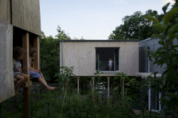 3.0, toito architekti