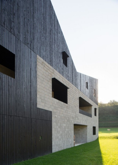 Twin house, bergmeisterwolf architekten,