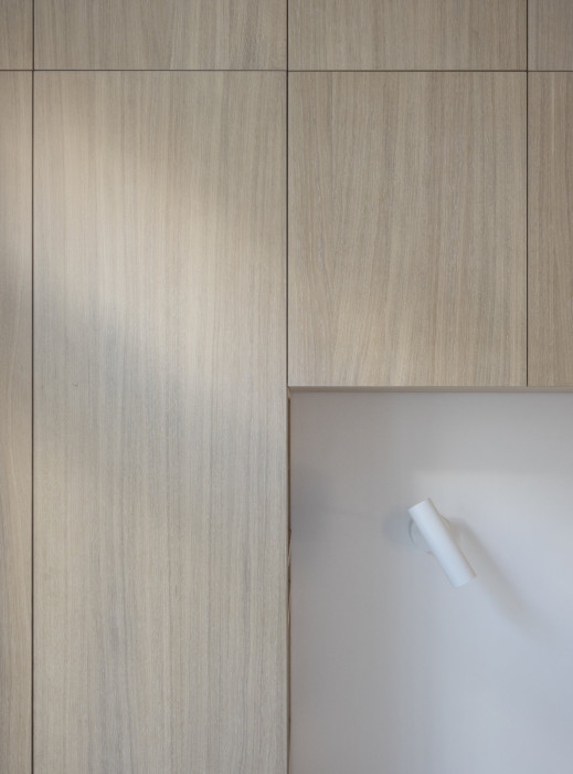 DEVOTO realizovalo interiérové vybavení rekonstrukce secesního bytu na Masarykově nábřeží (martin cenek architecture)