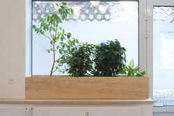 Mooza architecture, Stomatologická ordinace v Braníku - foto