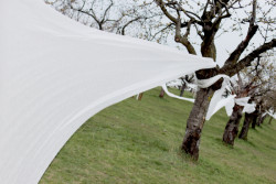 Landartová instalace Třešňovka, Tomáš Kodet.