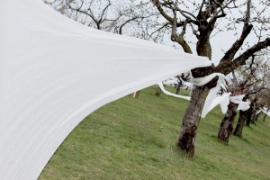 Landartová instalace Třešňovka, Tomáš Kodet.