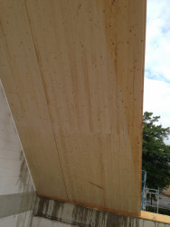 Pohledová strana v interiéru může zůstat přiznaná, na této stavbě se opláštila akustickými panely