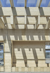 Elegantní střešní konstrukce z lepených dřevěných nosníků nad autobusovým terminálem (Autobusové nádraží Umeå Vasaplan, Wingårdhs + WSP)