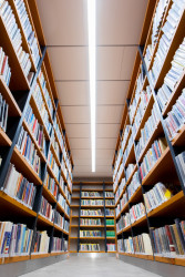 Knihovna v Hrádku nad Nisou, Ateliér David