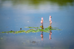 Nadace Partnerství zahájila přihlašování do pátého ročníku soutěže Adapterra Awards