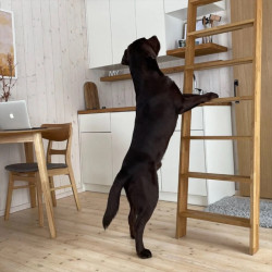 Tři typy prefabrikovaných kabin pro práci i relaxaci od společnosti My Cabin