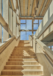 Uhlíkově neutrální kulturní centrum Sara od White Architekter