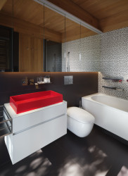 Dům v boru, A69 - architekti / Boris Redčenkov, Prokop Tomášek, Jaroslav Wertig