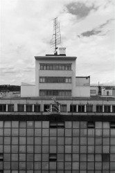 Zdeněk Lukeš: První jarní psí vycházka, Bílá labuť sítě B+B