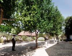 Pražské studio Olgoj Chorchoj začíná spolupracovat s teplickou botanickou zahradou na jejích úpravách