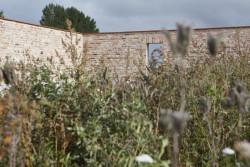 „Zahrada poroste společně s místními dětmi. A zdi Hage zarámují jejich vzpomínky.“ popisují architekti. (Zahrada Hage, Brendeland & Kristoffersen)