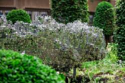 Subtile, Federico Díaz,