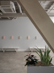 Administrativní brutalistickou budovu v americkém New Haven proměnili architekti ze studia Becker + Becker na luxusní hotel Marcel