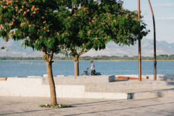 Projekt Albanian Carpet od studia Casanova+Hernandez Architects