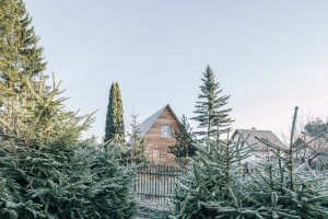 Chata Skelná Huť, re:architekti: Chata je klasická a také levná – přišla na méně než dva miliony korun.