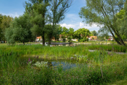 Nadace Partnerství zahájila přihlašování do pátého ročníku soutěže Adapterra Awards