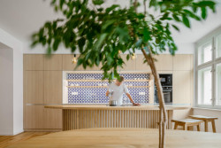 Byt v Praze-Vinohradech, Archistroj a Atelier HORIZONT: Cílem architektů bylo navrhnout byt, který bude jeho obyvatelům vyhovovat dlouhodobě, bude tedy obsahovat adaptabilní prvky a místnosti