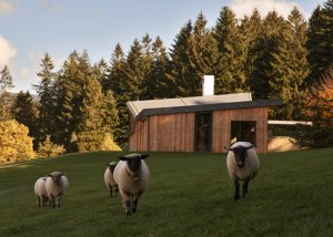 WMA Architects navrhli lesní usedlost v Beskydech