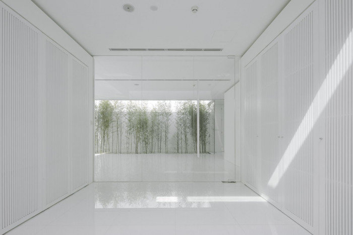 Bamboo Forest, V Studio