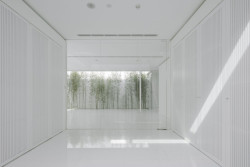 Bamboo Forest, V Studio