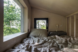 Pohled do interiéru (Dubodom od Pavola Šišky ve Svätém Juru)