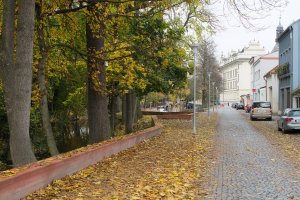 Obnova nábřeží řeky Loučné v Litomyšli, Rusina Frei