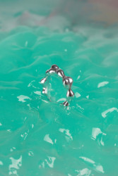 Anežka Juhová, Eternite.