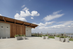 Minimalistické květináče TYPO vyrábí mmcité pomocí 3D tisku jako jedna z prvních firem v České republice