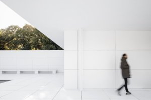 Mies Missing Materiality