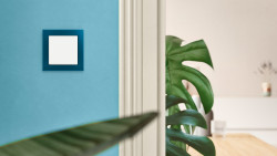 Modré sklo / mechová bílá, Busch-Axcent®