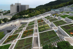 Zahradu tvoří 100 květinových záhonků, které v každém ročním období zdobí jiné druhy rostlin