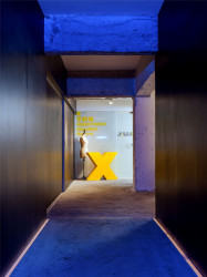 Bloom Design, kanceláře Blue Light, foto