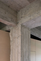 PROGRES ARCHITEKTI - Byt + byt: Odhalený betonový skelet