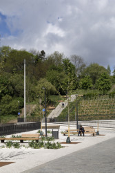 Ve středu náměstí je možné posedět na lavičkách, které v budoucnu zastíní košaté platany. (Tachovské náměstí v Praze, OVA)