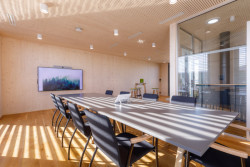 Administrativní budova Partizánske, Prodesi/ Domesi