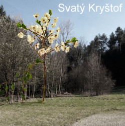 Elizabeth Brázdilová, Boží muka - foto