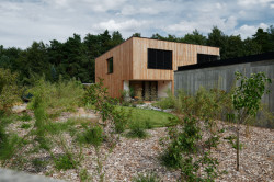 Tři zahrady propojuje zeď z pohledového betonu. (Dům ve třech zahradách, Air ateliér)