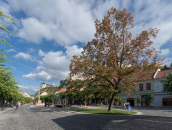 Rekonstrukce Mierového námestia, Atelier RAW