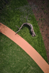 Park na Moravském náměstí, Consequence Forma: Dnes je tady cest spousta