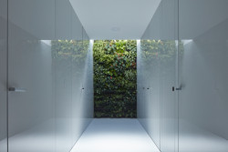 Rodinný dům v údolí Dyje, Kuba & Pilař architekti/ Tomáš Pilař, Ladislav Kuba, Norbert Walter