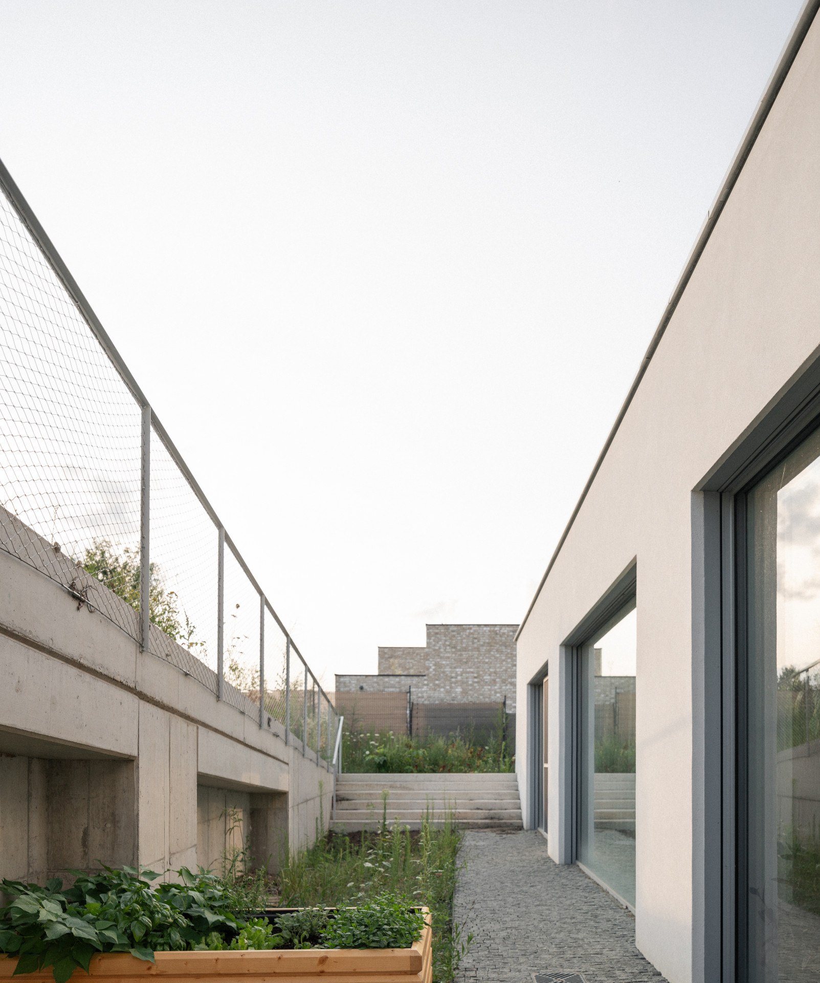 Souvisí to se soukromím, rodinný dům totiž obklopují sousedé celkem ze tří stran. (Rodinný dům v Záhorských sadech, ČECHVALA ARCHITECTS)