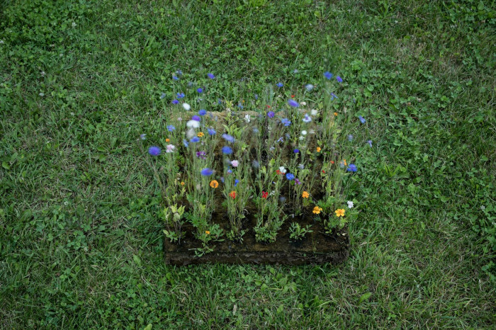 Fránek architects, Experimentální objekt ve Slavkově u Brna, foto