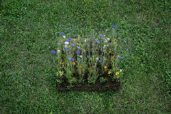 Fránek architects, Experimentální objekt ve Slavkově u Brna, foto